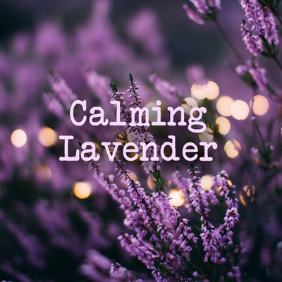 Calming Lavender Fragrance Oil